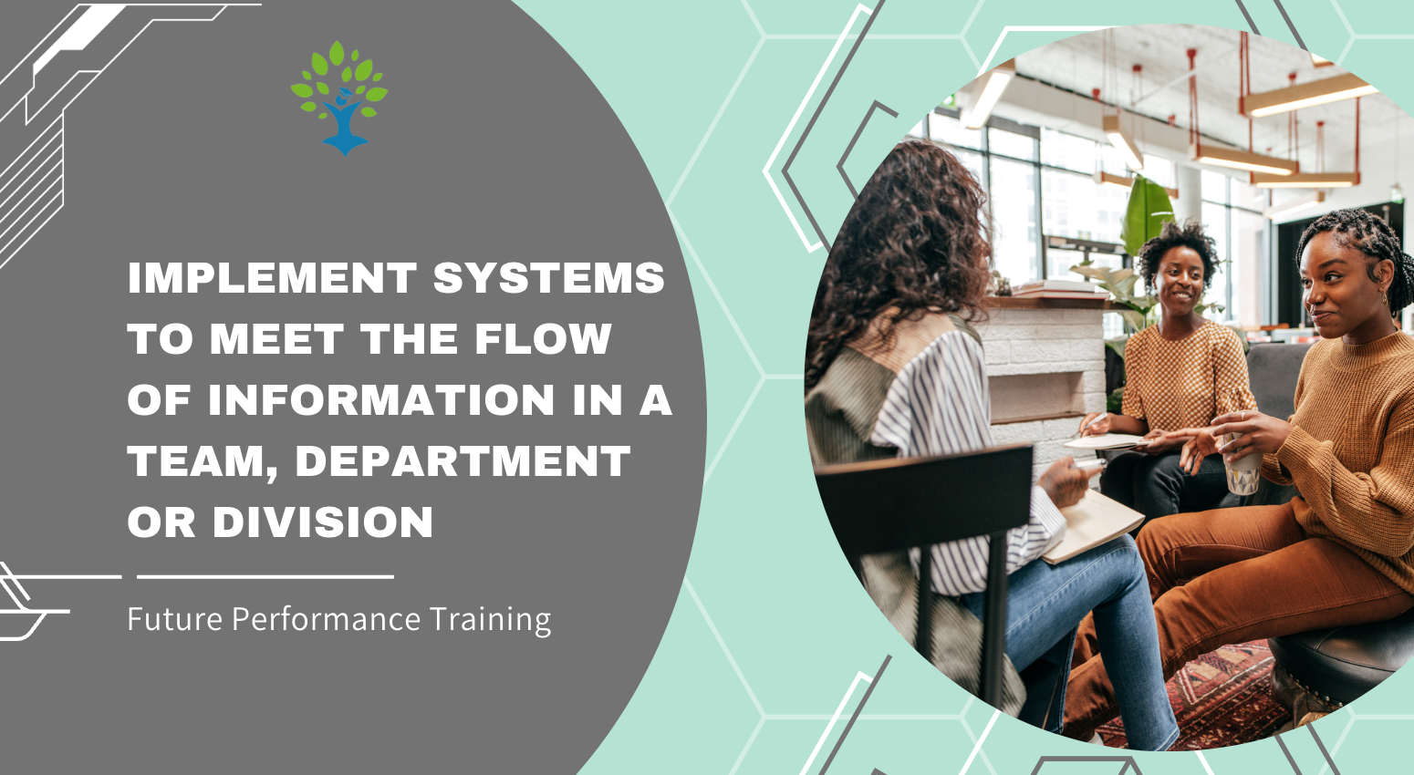 Implement Systems to Meet the Flow of Information in a Team, Department or Division